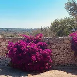 Vigna Vecchia *