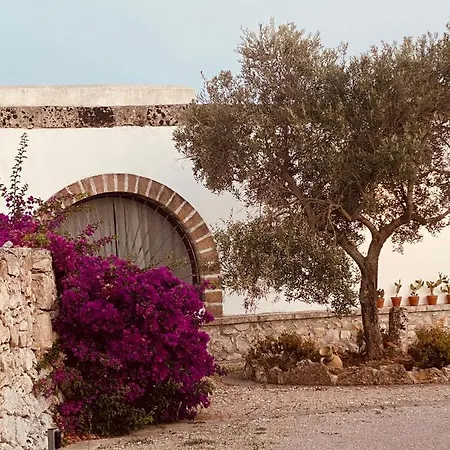 Vigna Vecchia Пату