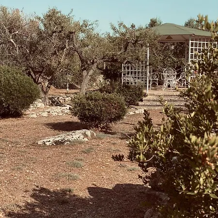 Vigna Vecchia Пату