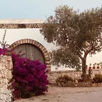 Vigna Vecchia Patù