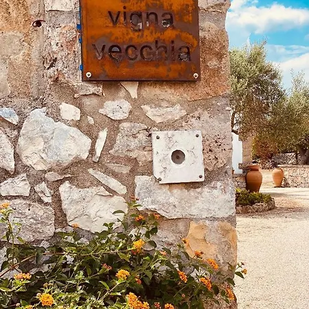 Vigna Vecchia *