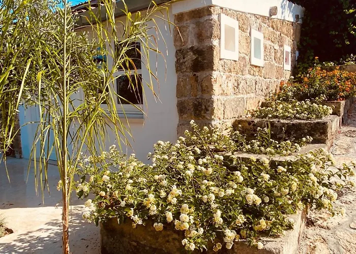 Vigna Vecchia Casa vacanze *